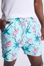 Flamingo 7