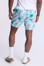 Flamingo 7