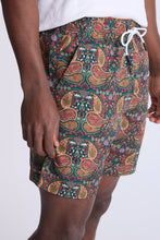 Paisley 7