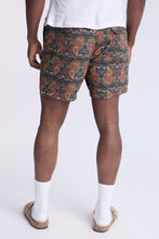 Paisley 7
