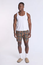 Paisley 7
