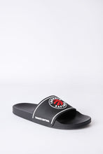 Toronto Raptors Slides thumbnail 2