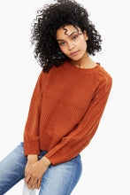Knit Sweater with Pointelle Sleeves thumbnail 14