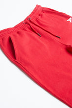 Boys Fleece AERO 1987 Graphic Leg Print Jogger thumbnail 13
