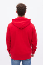 AERO Tonal Embroidery Graphic Pullover Hoodie thumbnail 8