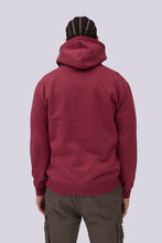 Aéropostale Varsity Hoodie thumbnail 19