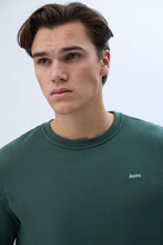 Aéropostale Embroidered Crew Neck Sweatshirt thumbnail 22