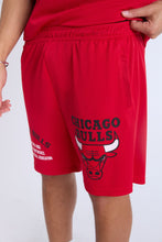 Chicago Bulls Mesh Shorts thumbnail 2