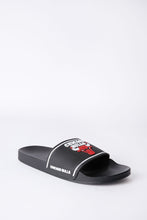 Chicago Bulls Slides thumbnail 2