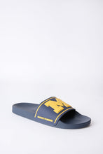 Michigan M Slides thumbnail 2