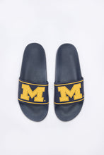 Michigan M Slides thumbnail 1