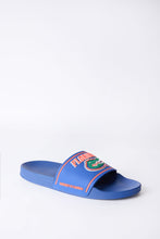 Florida Gators Slides thumbnail 2