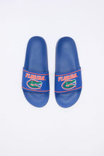 Florida Gators Slides thumbnail 1
