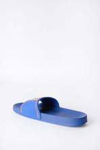 Florida Gators Slides thumbnail 3