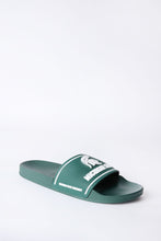 Michigan State Slides thumbnail 2