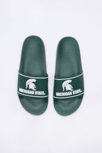 Michigan State Slides thumbnail 1