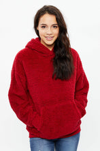 Sherpa Boyfriend Pullover Hoodie thumbnail 5