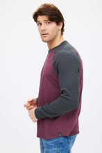 T-shirt manche long raglan thermique ras du cou bloc de couleurs thumbnail 12