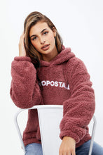 Aéropostale Sherpa Pullover Graphic Hoodie thumbnail 8